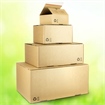 HILDE24 | laio® Green BOX Standard-Versandboxen